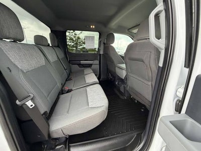 2024 Ford Super Duty F-350 SRW XL