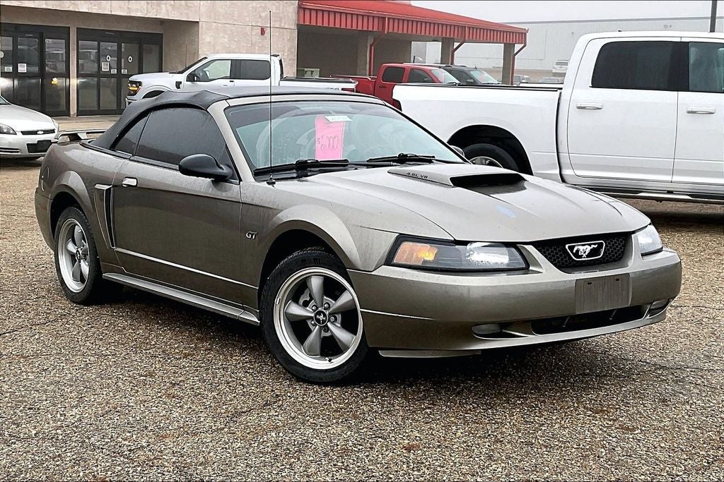 2002 Ford Mustang GT Deluxe