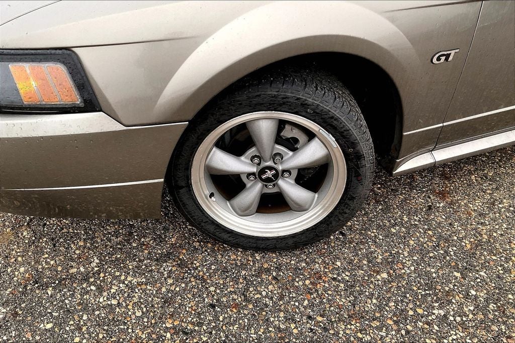 2002 Ford Mustang GT Deluxe